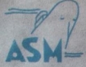 Arnhemse Scheepsbouw Maatschappij (ASM) ASM scheepswerf